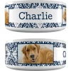 Frisco Boho Damask Ceramic Personalized Dog Bowl