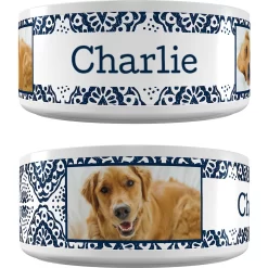 Frisco Boho Damask Ceramic Personalized Dog Bowl