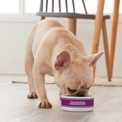 Frisco Preppy Stripes Ceramic Personalized Dog & Cat Bowl -Frisco Shop 250837 PT3. AC SS1800 V1610764911