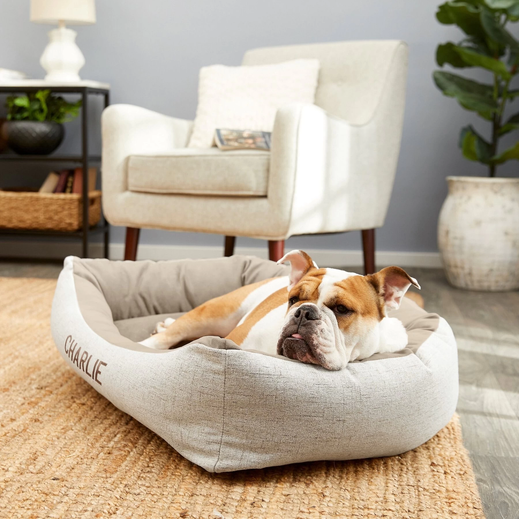 Frisco Rectangular Personalized Bolster Dog Bed W/Removable Cover, Beige, X-Large 1 Frisco Rectangular Personalized Bolster Dog Bed W/Removable Cover, Beige, X-Large