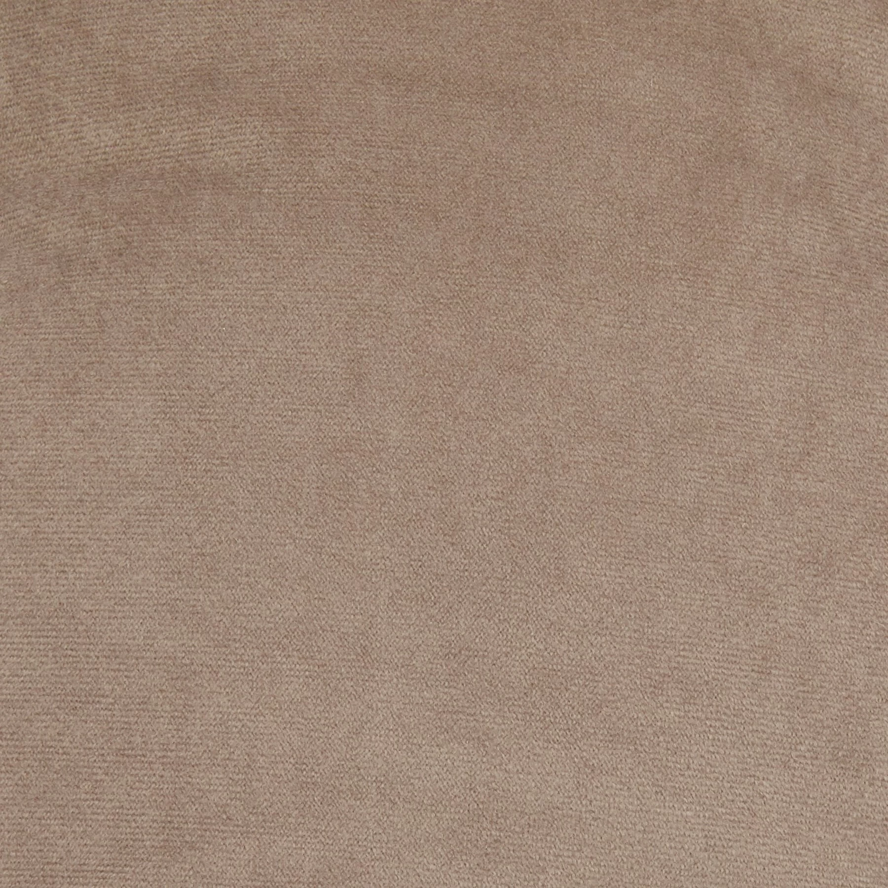 Frisco Rectangular Personalized Bolster Dog Bed W/Removable Cover, Beige, X-Large 6 Frisco Rectangular Personalized Bolster Dog Bed W/Removable Cover, Beige, X-Large - Image 6