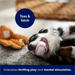 Frisco Baseball Mitt & Ball Interactive Plush Squeaky Dog Toy -Frisco Shop 252756 PT5. AC SS1800 V1686579205