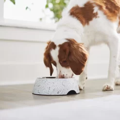 Frisco Quartz Design Stainless Steel Dog & Cat Bowl -Frisco Shop 253044 PT2. AC SS1800 V1616526418