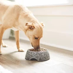 Frisco Black Marble Design Stainless Steel Dog & Cat Bowl -Frisco Shop 253048 PT2. AC SS1800 V1616526446