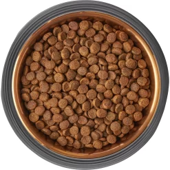 Frisco Matte Black Design Light Copper Stainless Steel Dog & Cat Bowl -Frisco Shop 253051 PT5. AC SS1800 V1616526794