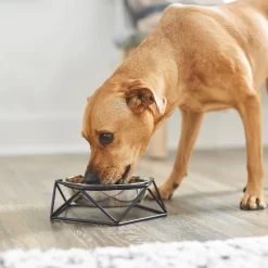Frisco Elevated Stainless Steel Dog & Cat Bowl With Metal Stand -Frisco Shop 253055 PT2. AC SS1800 V1616594231