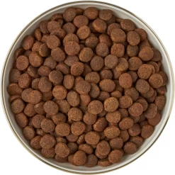 Frisco Gold Trim Melamine Dog & Cat Bowl 14 Frisco Gold Trim Melamine Dog & Cat Bowl -Frisco Shop 253062 PT5. AC SS1800 V1616595396