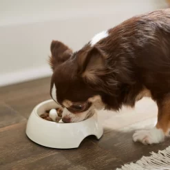 Frisco Melamine Slow Feed Dog & Cat Bowl With Gold Trim -Frisco Shop 253066 PT2. AC SS1800 V1616597844