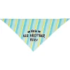 Frisco Big Brother Personalized Dog & Cat Bandana