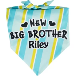 Frisco Big Brother Personalized Dog & Cat Bandana -Frisco Shop 254231 PT2. AC SS1800 V1633062098