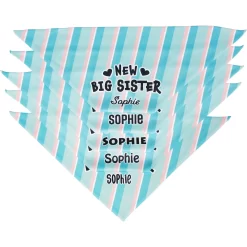 Frisco Big Sister Personalized Dog & Cat Bandana -Frisco Shop 254235 PT4. AC SS1800 V1619558530