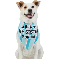 Frisco Big Sister Personalized Dog & Cat Bandana -Frisco Shop 254235 PT6. AC SS1800 V1619558258