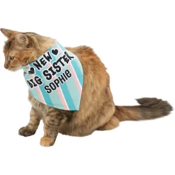 Frisco Big Sister Personalized Dog & Cat Bandana -Frisco Shop 254235 PT7. AC SS1800 V1619560404