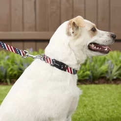 Frisco American Flag Polyester Dog Leash & Frisco American Flag Polyester Dog Collar -Frisco Shop 255455 PT2. AC SS1800 V1602706575