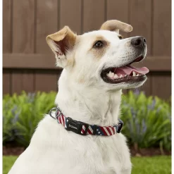 Frisco American Flag Polyester Dog Leash & Frisco American Flag Polyester Dog Collar -Frisco Shop 255455 PT4. AC SS1800 V1602706581
