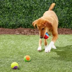 Frisco Fetch Squeaking Colorful Tennis Ball Dog Toy & True Acre Foods Salmon Recipe Mini-Training Rewards Grain-Free Soft & Chewy Dog Treats -Frisco Shop 255469 PT2. AC SS1800 V1602691284