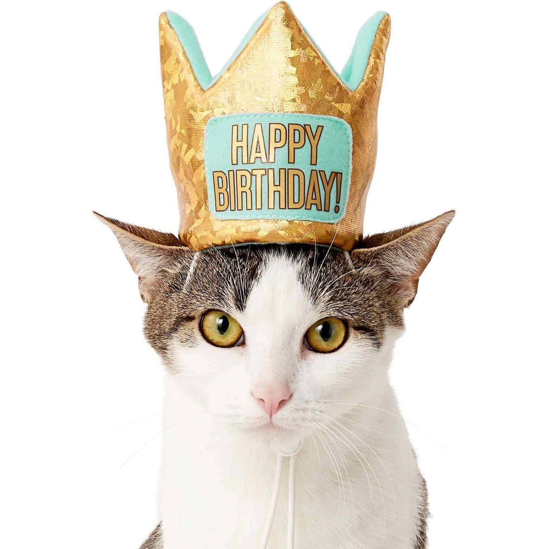 Frisco Happy Birthday Dog & Cat Crown & Frisco Dog & Cat Birthday Bandana 3 Frisco Happy Birthday Dog & Cat Crown & Frisco Dog & Cat Birthday Bandana - Image 3