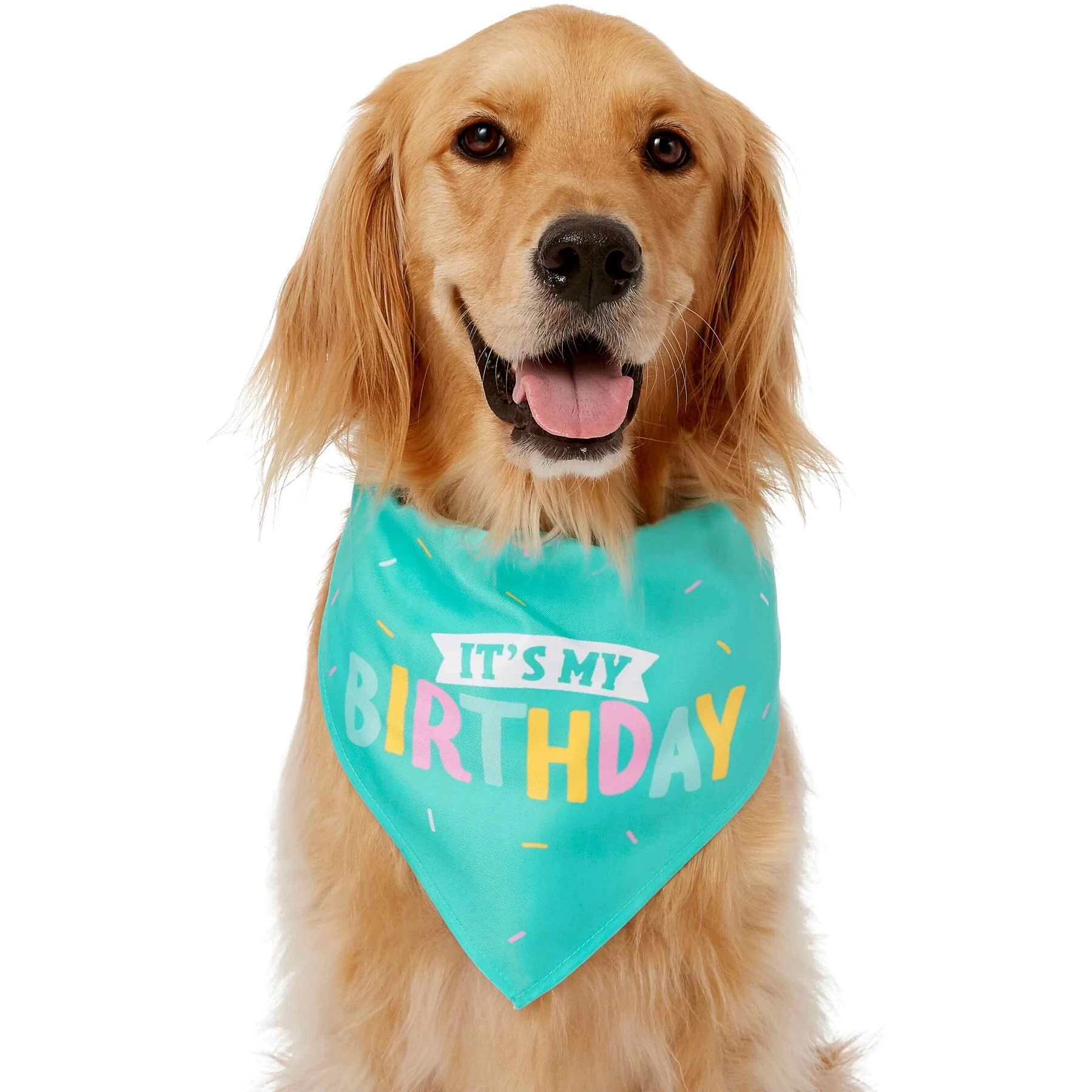 Frisco Happy Birthday Dog & Cat Crown & Frisco Dog & Cat Birthday Bandana 4 Frisco Happy Birthday Dog & Cat Crown & Frisco Dog & Cat Birthday Bandana - Image 4