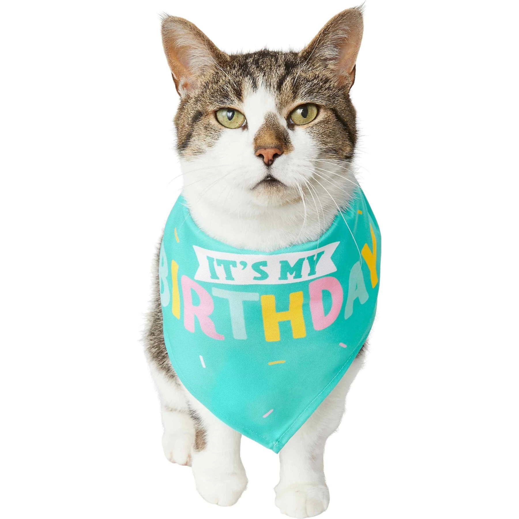 Frisco Happy Birthday Dog & Cat Crown & Frisco Dog & Cat Birthday Bandana 5 Frisco Happy Birthday Dog & Cat Crown & Frisco Dog & Cat Birthday Bandana - Image 5