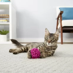Frisco Moppy Ball Cat Toy With Catnip & Sentry Petrodex Veterinary Strength Enzymatic Malt Flavor Cat Dental Kit -Frisco Shop 255587 PT2. AC SS1800 V1603545392