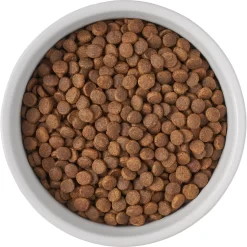 Frisco Bones Non-skid Ceramic Dog & Cat Bowl 11 Frisco Bones Non-skid Ceramic Dog & Cat Bowl -Frisco Shop 256074 PT5. AC SS1800 V1615312010