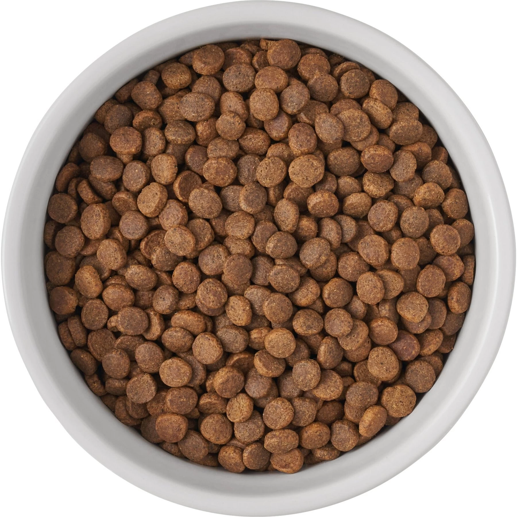 Frisco Bones Non-skid Ceramic Dog & Cat Bowl 6 Frisco Bones Non-skid Ceramic Dog & Cat Bowl - Image 6