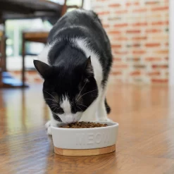 Frisco Oval Meow Non-skid Ceramic Cat Bowl With Wood Base -Frisco Shop 256080 PT2. AC SS1800 V1615310782