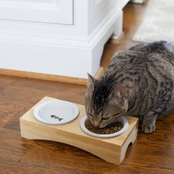 Frisco Double Elevated Cat Bowl With Wood Stand -Frisco Shop 256082 PT2. AC SS1800 V1615312650