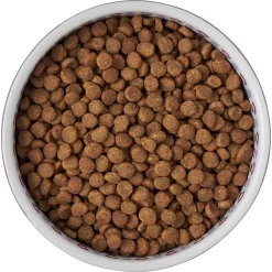 Frisco Kaleidoscope Pattern Non-skid Ceramic Dog & Cat Bowl -Frisco Shop 256090 PT5. AC SS1800 V1615312887