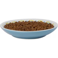 Frisco Kaleidoscope Pattern Non-skid Ceramic Cat Dish -Frisco Shop 256092 PT3. AC SS1800 V1617042717