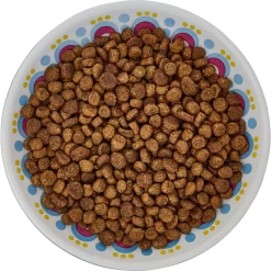 Frisco Kaleidoscope Pattern Non-skid Ceramic Cat Dish -Frisco Shop 256092 PT5. AC SS1800 V1617042691