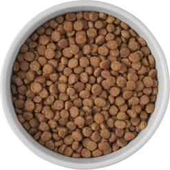 Frisco Cat Print Non-Skid Elevated Ceramic Cat Bowl, Tall -Frisco Shop 256099 PT4. AC SS1800 V1616522538