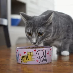 Frisco Paris Non-skid Ceramic Cat Dish -Frisco Shop 256117 PT2. AC SS1800 V1615311397