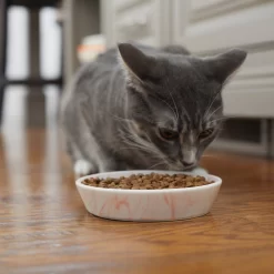 Frisco Marble Design Non-skid Ceramic Cat Bowl 11 Frisco Marble Design Non-skid Ceramic Cat Bowl -Frisco Shop 256125 PT6. AC SS1800 V1617037714