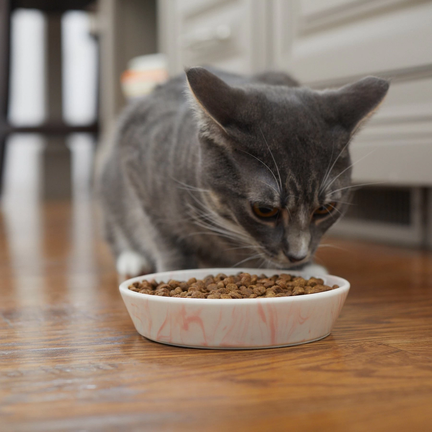 Frisco Marble Design Non-skid Ceramic Cat Bowl 6 Frisco Marble Design Non-skid Ceramic Cat Bowl - Image 6