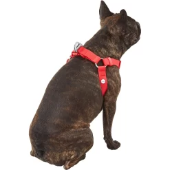 Frisco Outdoor Solid Textured Waterproof Stink Proof PVC Dog Harness -Frisco Shop 256518 PT3. AC SS1800 V1625164999