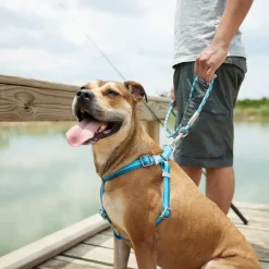 Frisco Outdoor Two Tone Waterproof Stinkproof PVC Dog Harness -Frisco Shop 256580 PT5. AC SS1800 V1625588974