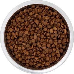 Frisco Black Iron Non-Skid Stainless Steel Dog & Cat Bowl -Frisco Shop 257152 PT4. AC SS1800 V1615311427