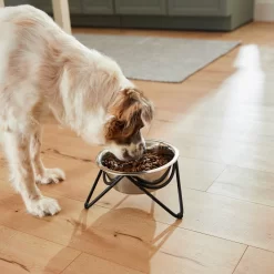 Frisco Triangle Iron Non-Skid Elevated Dog & Cat Bowl -Frisco Shop 257155 PT5. AC SS1800 V1692987369