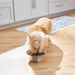 Frisco Flare Non-Skid Stainless Steel Dog & Cat Bowl -Frisco Shop 257162 PT2. AC SS1800 V1692989463
