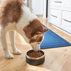 Frisco Insulated Two-Toned Non-Skid Stainless Steel Dog & Cat Bowl -Frisco Shop 257168 PT8. AC SS1800 V1615840126