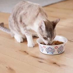 Frisco Bohemian Non-Skid Stainless Steel Dog & Cat Bowl -Frisco Shop 257195 PT7. AC SS1800 V1615989147