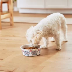 Frisco Bohemian Non-Skid Stainless Steel Dog & Cat Bowl -Frisco Shop 257195 PT8. AC SS1800 V1615932115