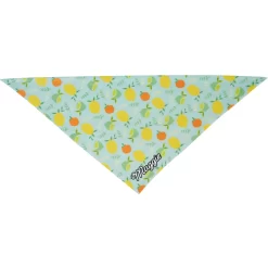 Frisco Citrus Personalized Dog & Cat Bandana 12 Frisco Citrus Personalized Dog & Cat Bandana -Frisco Shop 258758 PT3. AC SS1800 V1619559797