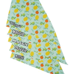 Frisco Citrus Personalized Dog & Cat Bandana 13 Frisco Citrus Personalized Dog & Cat Bandana -Frisco Shop 258758 PT4. AC SS1800 V1619558899