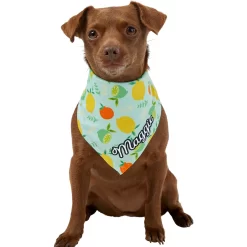Frisco Citrus Personalized Dog & Cat Bandana 15 Frisco Citrus Personalized Dog & Cat Bandana -Frisco Shop 258758 PT6. AC SS1800 V1619560354