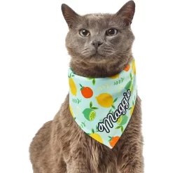 Frisco Citrus Personalized Dog & Cat Bandana 16 Frisco Citrus Personalized Dog & Cat Bandana -Frisco Shop 258758 PT7. AC SS1800 V1619560408
