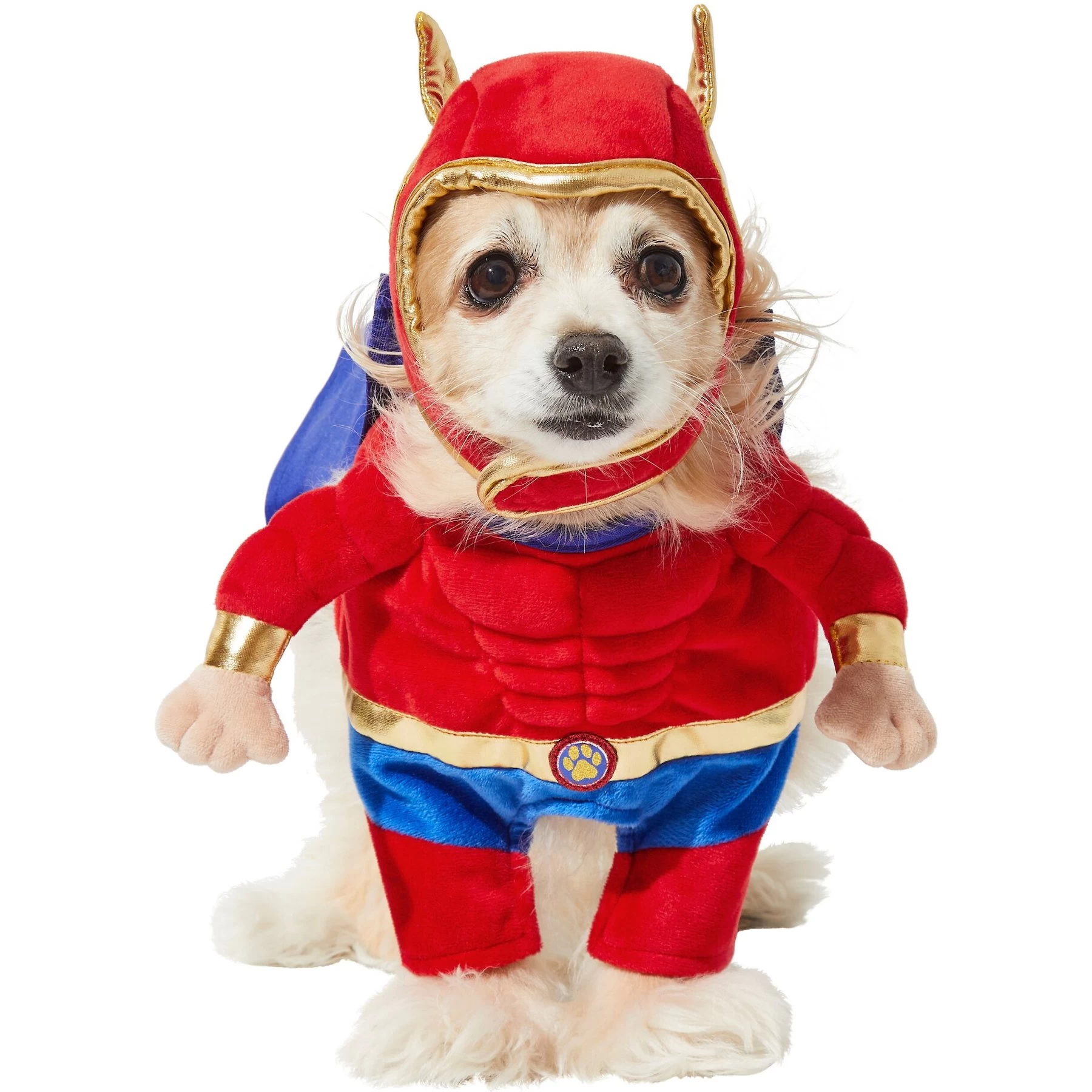 Frisco Front Walking Superhero Dog & Cat Costume 1 Frisco Front Walking Superhero Dog & Cat Costume