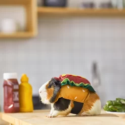 Frisco Hotdog Guinea Pig Costume, One Size -Frisco Shop 261093 PT8. AC SS1800 V1624454761