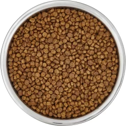 Frisco Insulated Non-Skid Flair Stainless Steel Dog & Cat Bowl -Frisco Shop 261753 PT4. AC SS1800 V1623937583